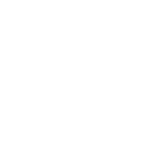 feature-item-1