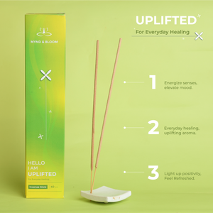 Uplift + Energize Orange Incense Sticks
