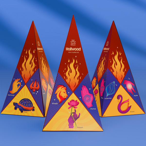 Holika Dahan Diaries